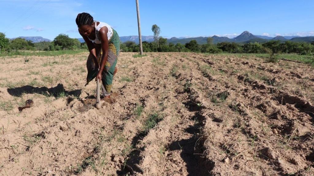 La campaña 'Marcha por la Tierra' pedirá justicia climática para los países vulnerables en la COP26 de Glasgow.