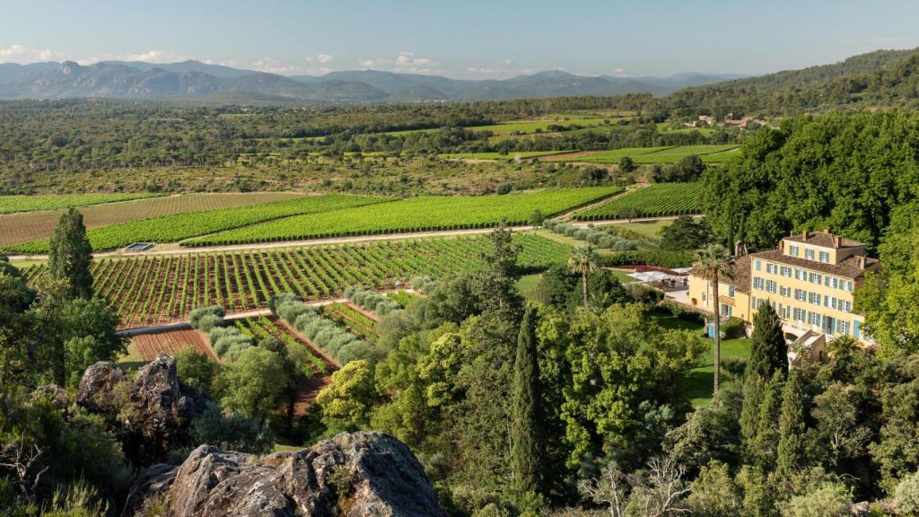 Viñedo de Château d'Esclans en la Provenza.