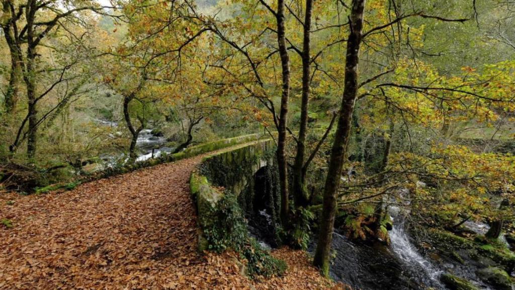 Ponte do Santo Sepulcro (Fuente: Turismo de Galicia)