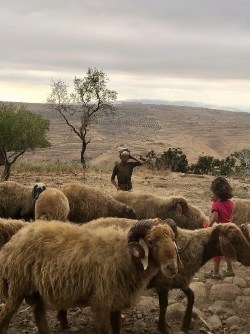 Niños de una tribu beduina en la frontera con Siria.