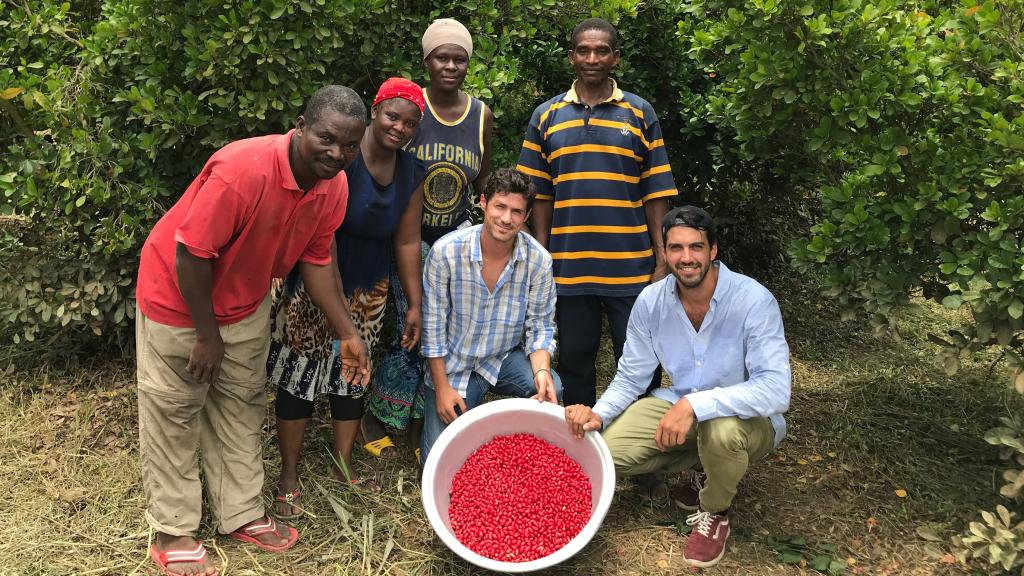 Baïa Food está acaba de lograr la autorización europea para utilizar en sus productos la miraculina, glicoproteína presente en una baya endémica de África Occidental que transforma el sabor ácido en dulce.