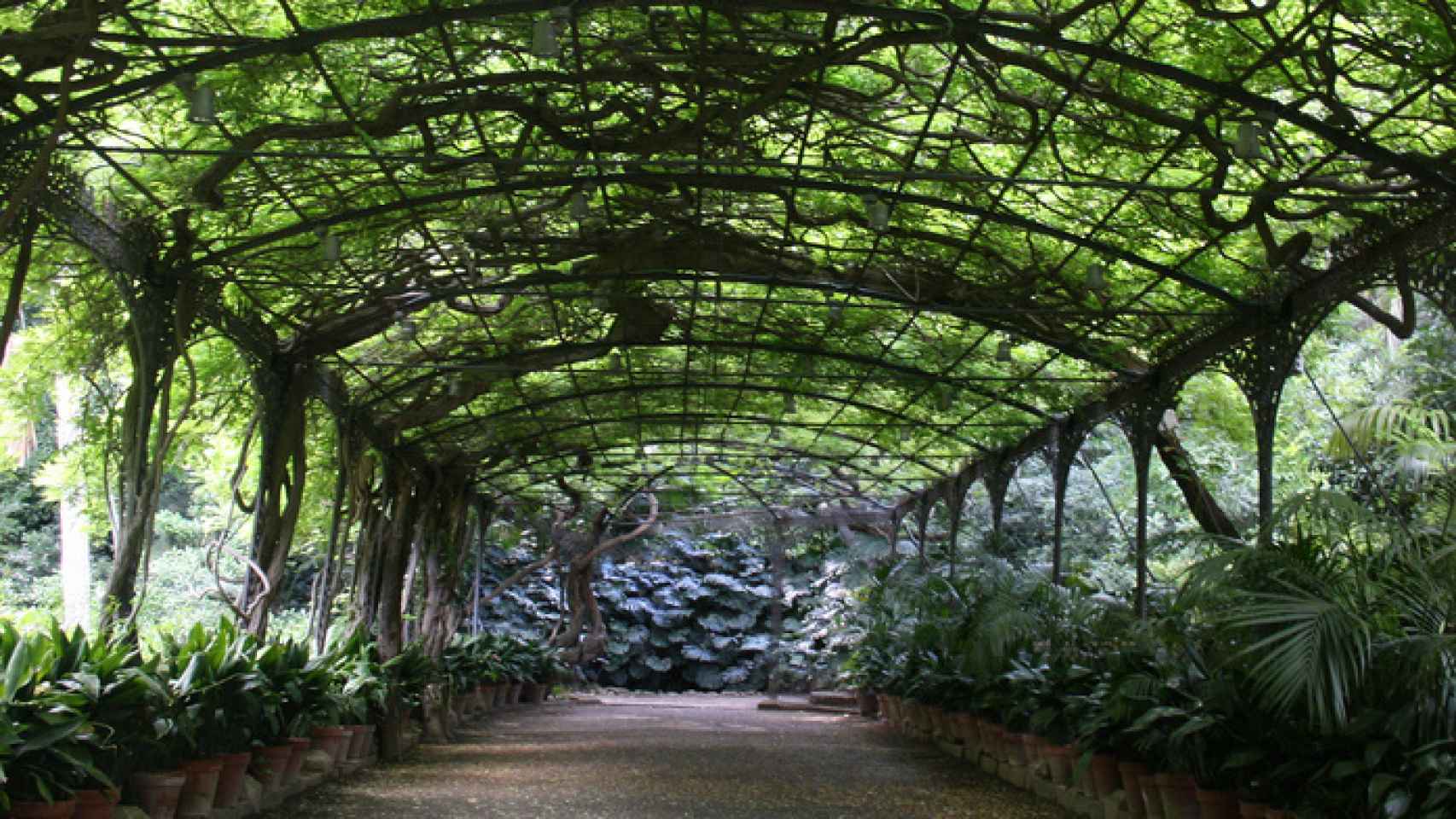 Uno de los escenarios del Jardín Botánico de la Concepción, en Málaga.