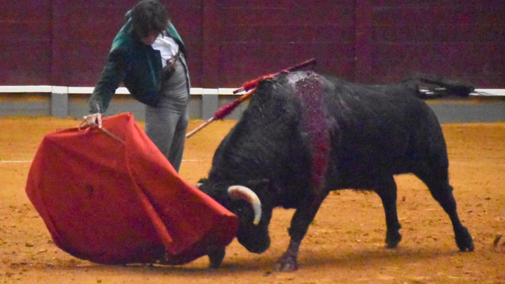 Imágenes de la 'Clase Magistral' celebrada en la plaza de toros de Alba de Tormes