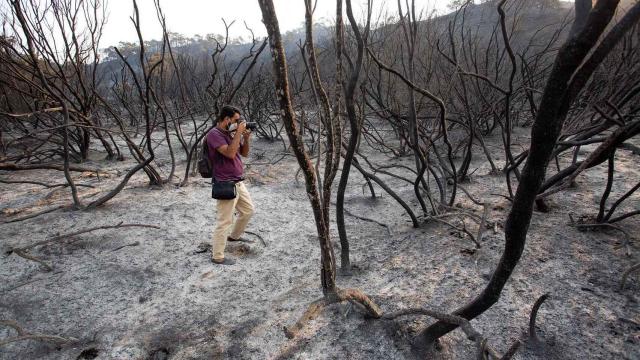 Imagen del incendio en Sierra Bermeja, en Málaga.