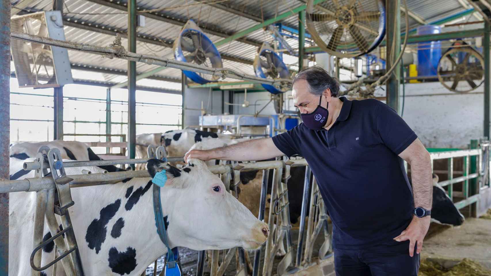 El cuidado del ganado es uno de los aspectos que realizan los veterinarios