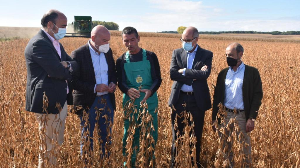 El consejero de Agricultura, Ganadería y Desarrollo Rural, en una visita a una plantación de soja en  Salamanca.