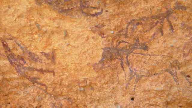 Una de las pinturas rupestres halladas en Minateda. Foto: Turismo Castilla-La Mancha