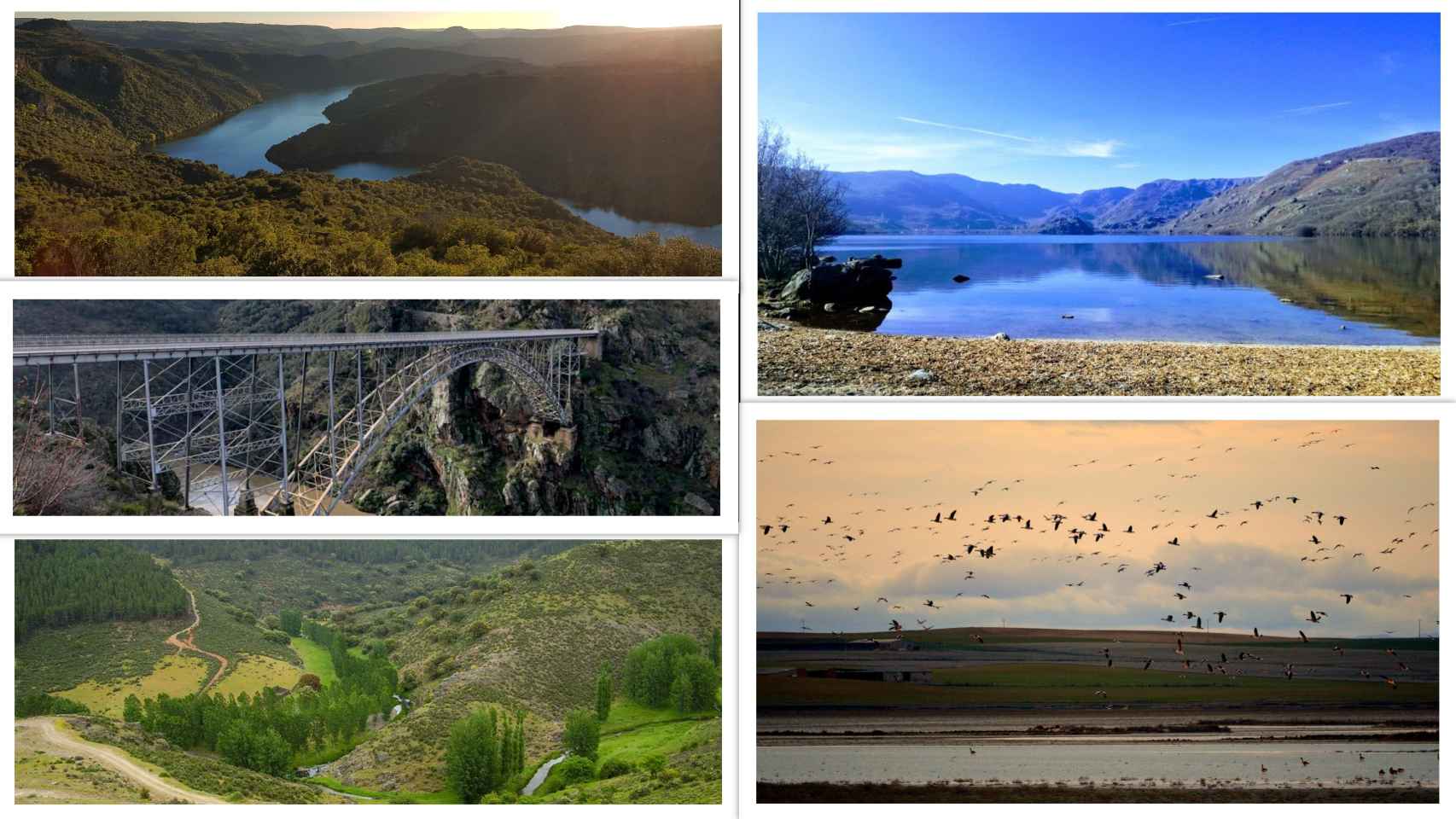 El Lago de Sanabria, Los Arribes del Duero, Las Lagunas de Villafáfila, La Sierra de la Culebra y el Puente de Requejo