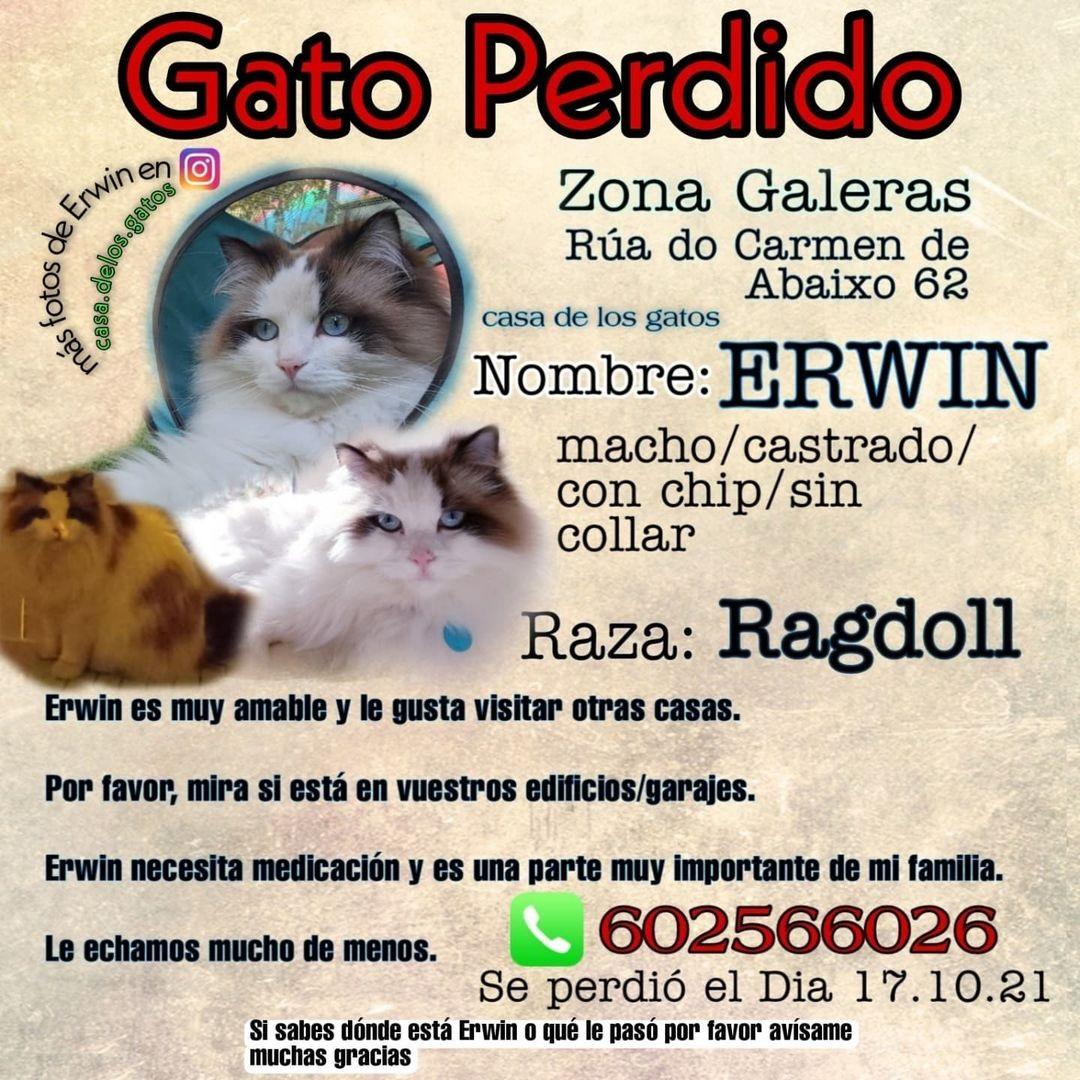 El cartel de búsqueda de Erwin.