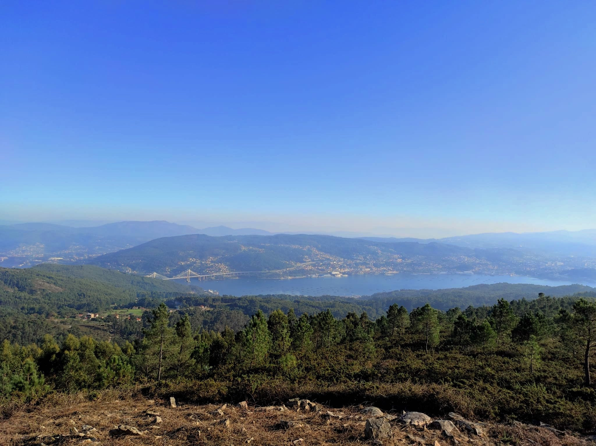 Vistas de la ría de Vigo . Foto: Thalia García.