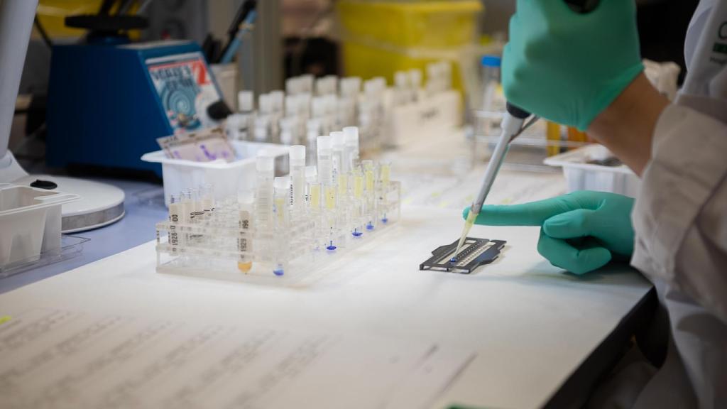 Análisis de muestras en el laboratorio de Inmunología del Hospital Clínic de Barcelona.