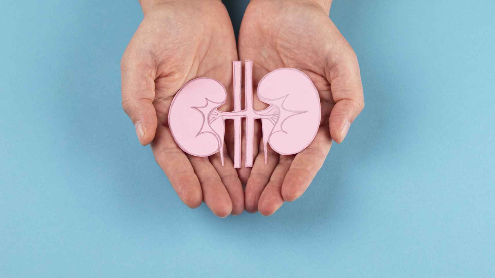 El riñón consume el 20% del gasto energético del corazón.