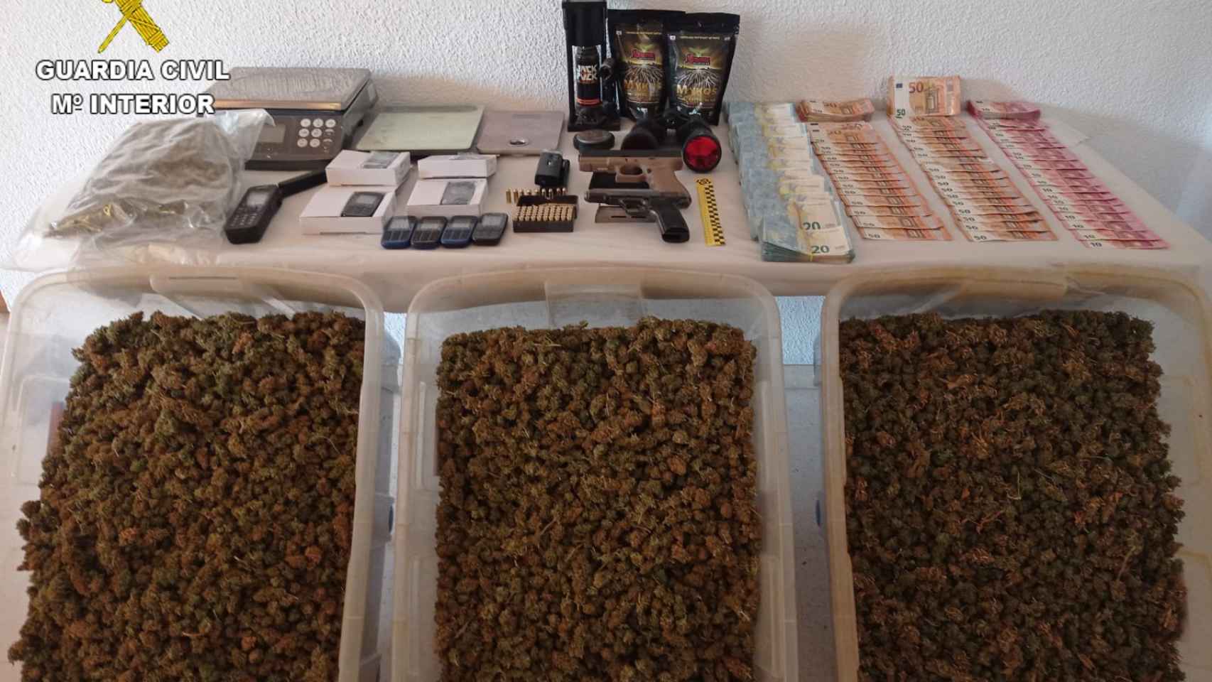 Cinco detenidos por cultivar marihuana en un pueblo de Toledo: tenían armas y mucho dinero