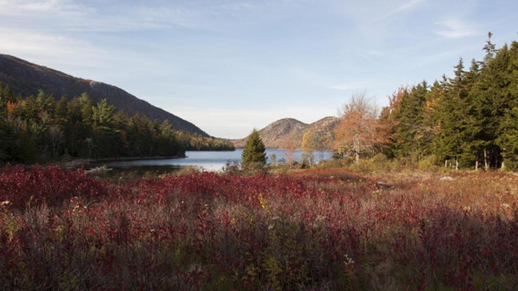 Un bosque bordeado de colinas en Nueva Inglaterra, Maine (EEUU).