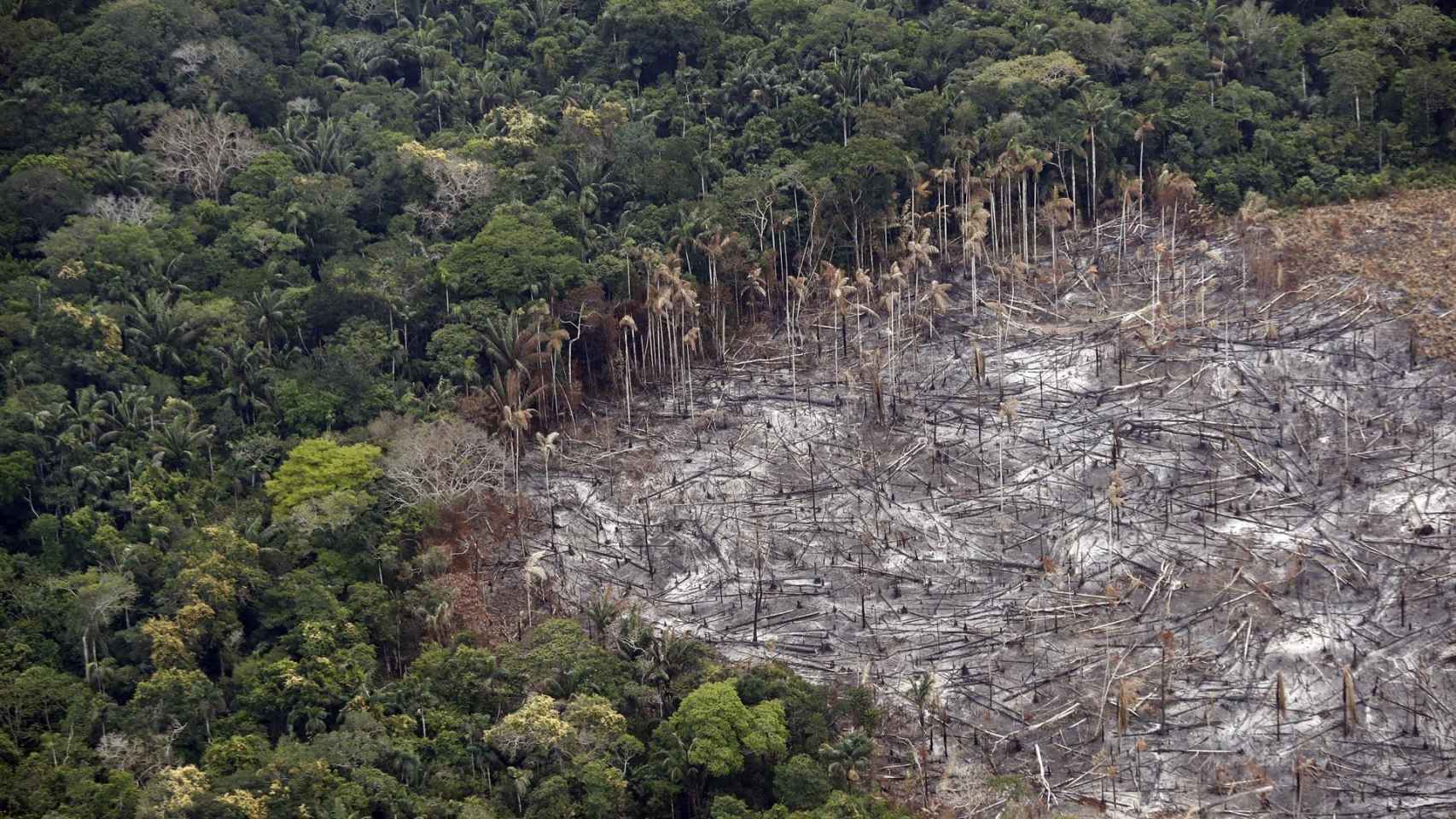 Terrenos deforestados en el Parque Nacional Natural Tinigua, en Meta (Colombia).