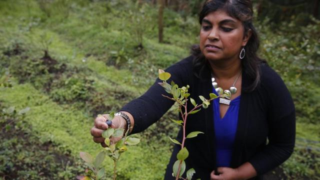 La activista estadounidense Rani Hong en Santa Elena (Colombia).