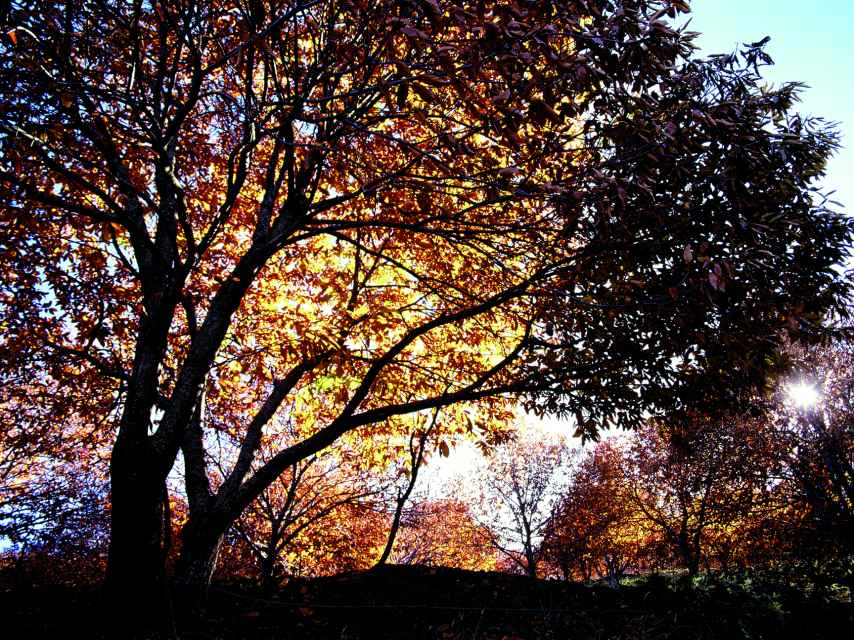 El otoño es la mejor época para visitar este paisaje.