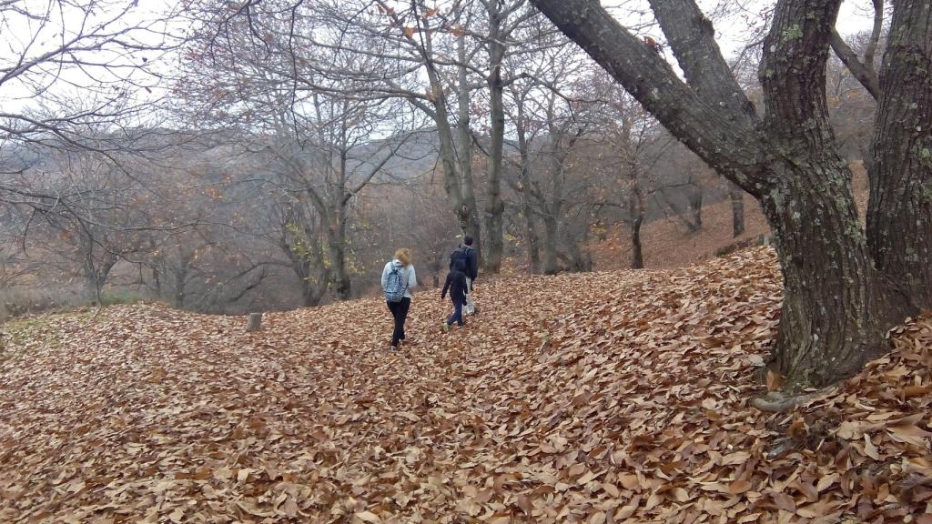 Las familias encuentran en este paisaje un lugar maravilloso para pasear.