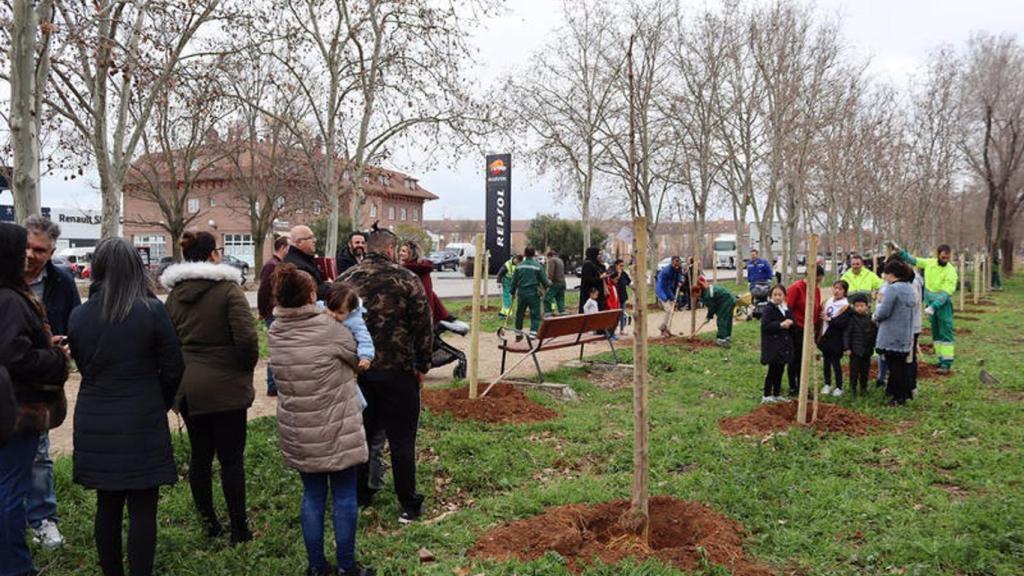 Vuelven las plantaciones del programa municipal 'En Azuqueca nace un bebé, nace un árbol'