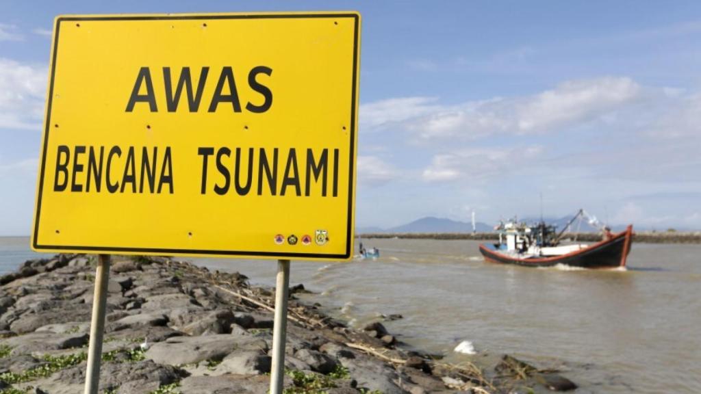 Cuidar la biodiversidad marina protege también de los tsunamis.