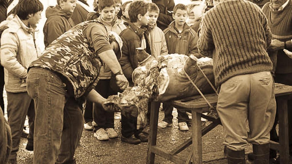 Imágenes de los pasos de la matanza tradicional del cerdo