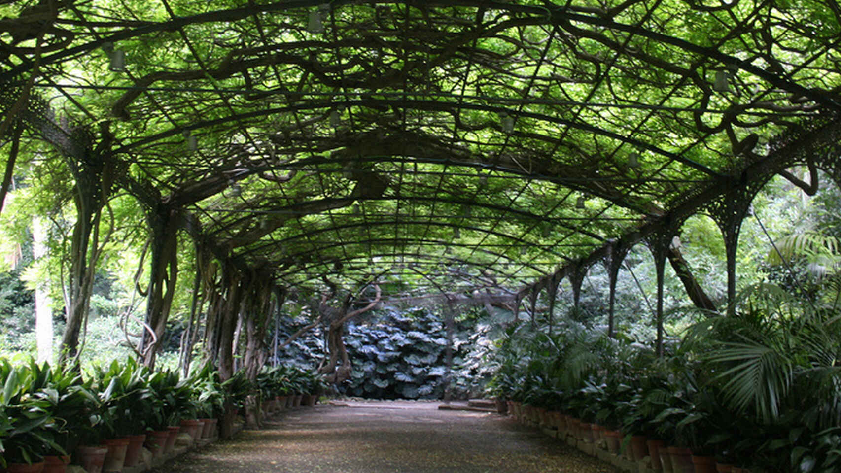 Imagen de archivo del Jardín Botánico de la Concepción.