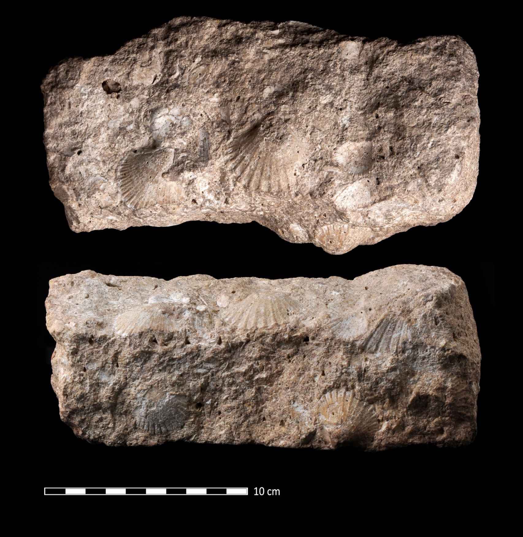 Estela funeraria prehistórica encontrada en Castillejo del Bonete, en Terrinches (Ciudad Real)