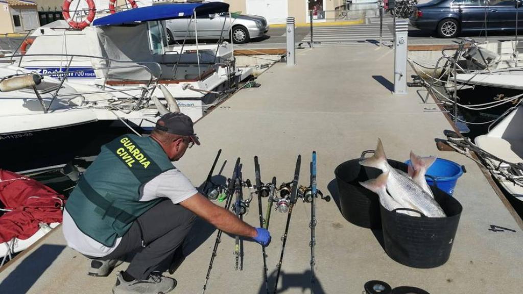 Material incautado por la Guardia Civil.