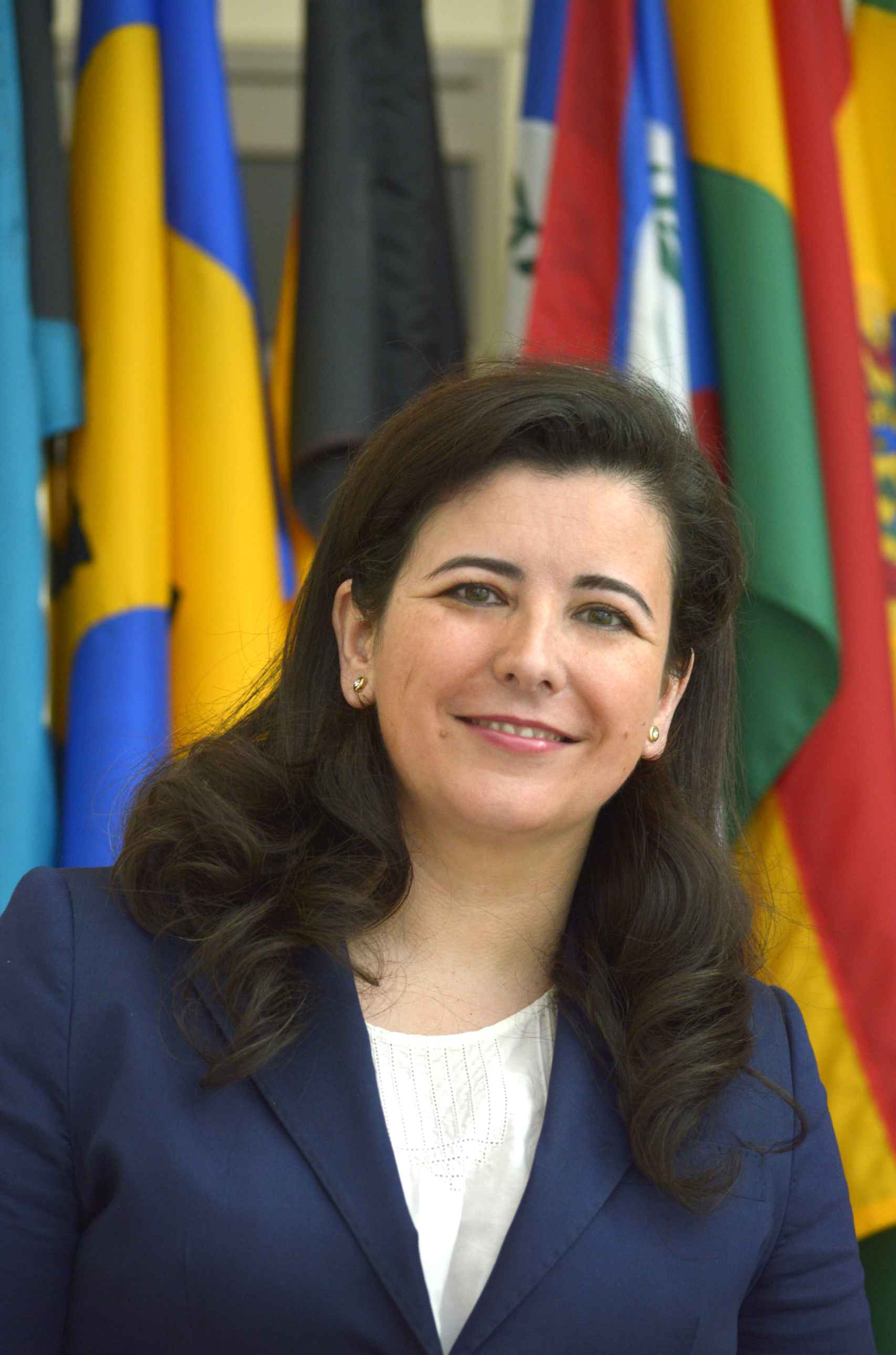 Gema Sacristán es directora general de Negocio de BID Invest