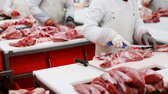 carne industria cárnica