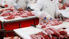 carne industria cárnica