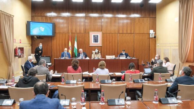 El consejero de Salud y Familias, Jesús Aguirre, explica su presupuesto en el Parlamento andaluz.