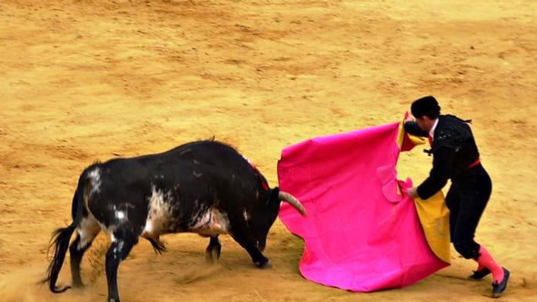 Fotogalería | Félix Navas