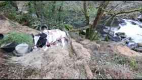 Vaca atrapada en el lecho del río Deza, en el municipio de Vila de Cruces