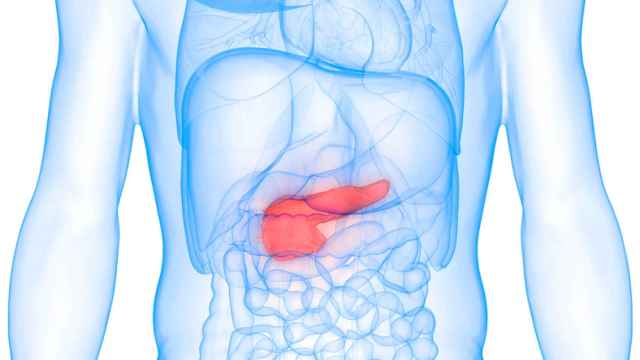 El color de la orina y la sed, los nuevos síntomas para detectar el cáncer de páncreas