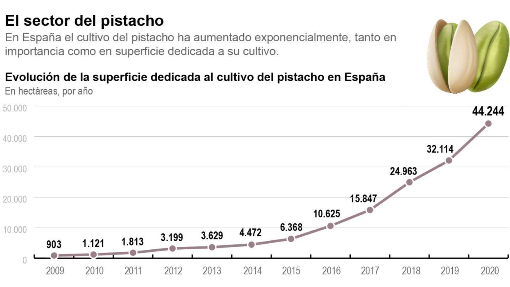 El exponencial crecimiento de las hectáreas de pistacho cultivadas en España.