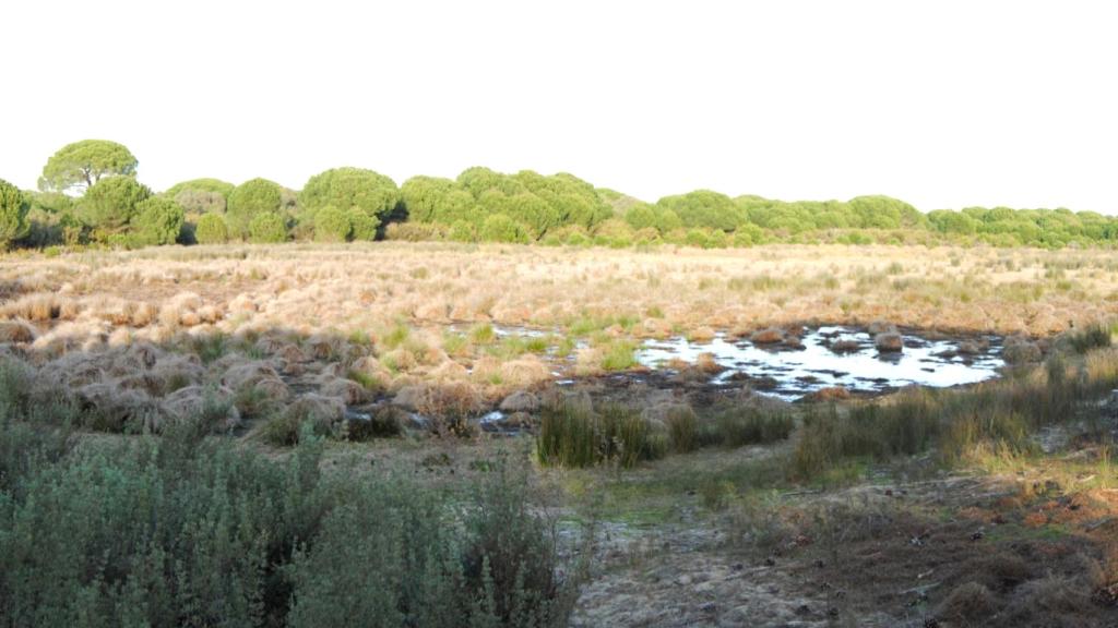 La laguna del Charco del Toro.