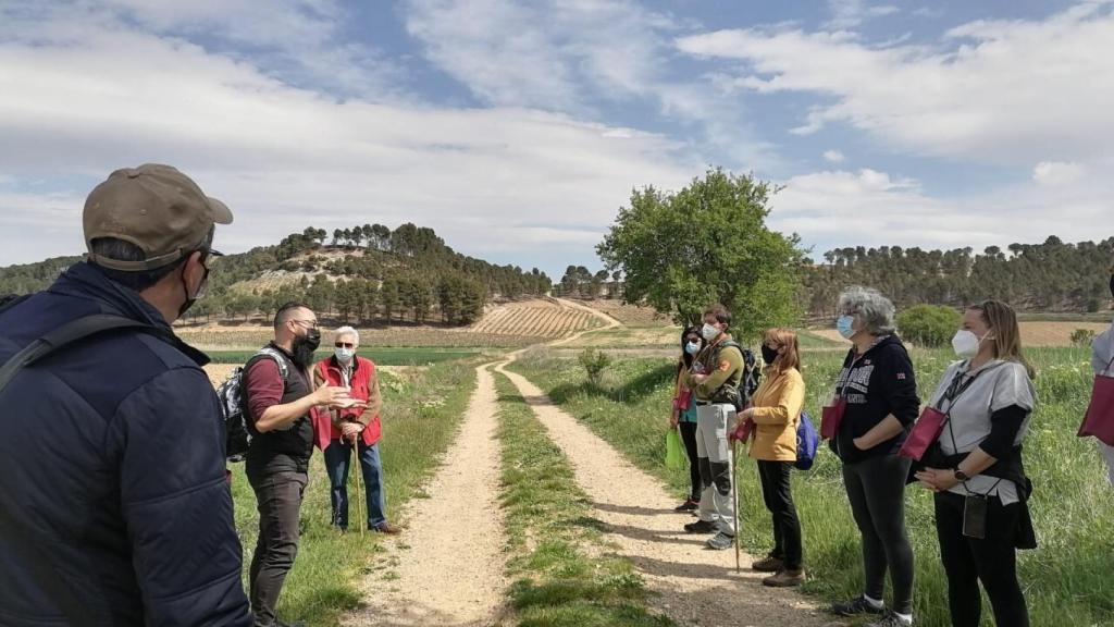 Ruta de senderismo en la localidad de Cigales