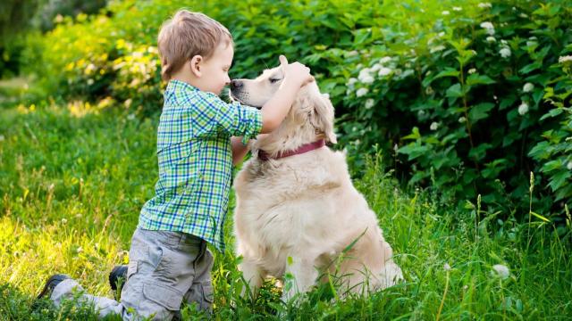 Más perros que niños en las ciudades gallegas