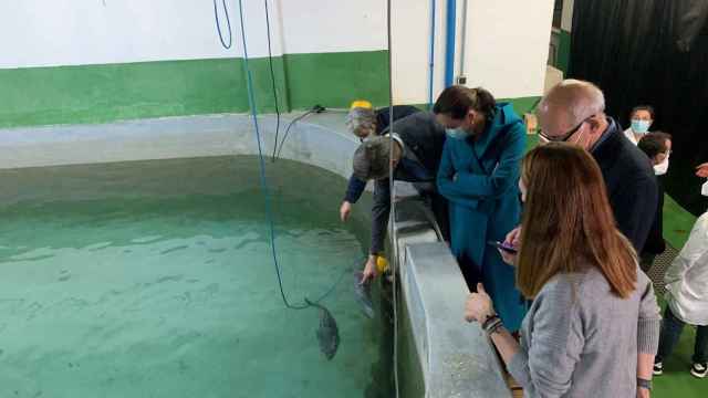 José Miñones en su visita al Centro Oceanográfico de Vigo.