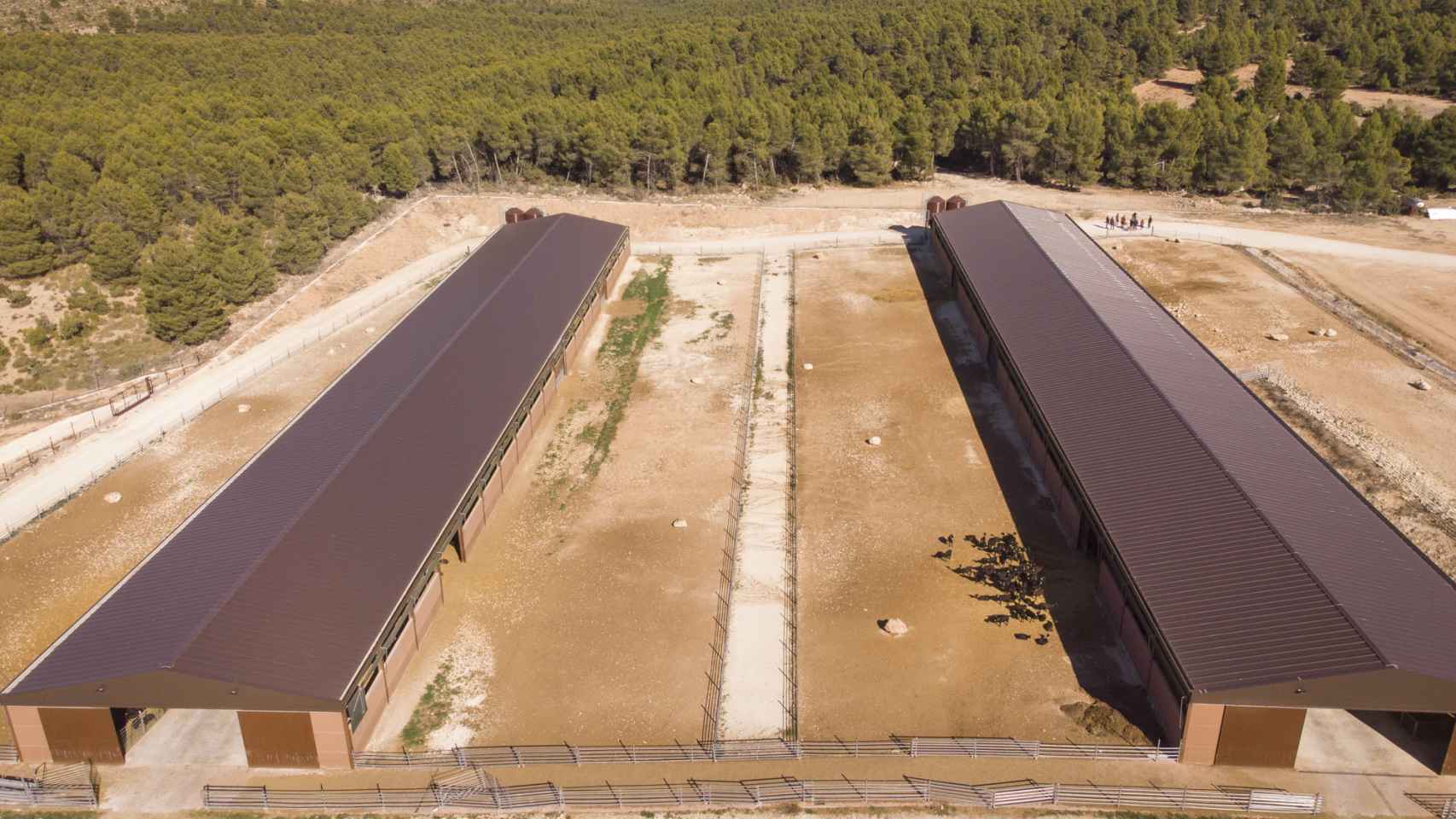 Vista aérea de la granja ecológica caprina más grande de España: viven en ella 3.000 cabras.