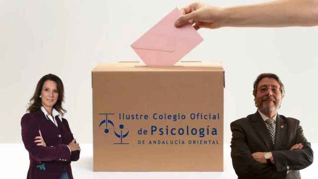 Las elecciones del COPAO se celebran el próximo 16 de diciembre.