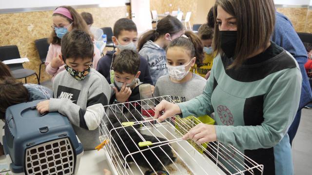 Celebración del Consejo de Niños de Carbajosa