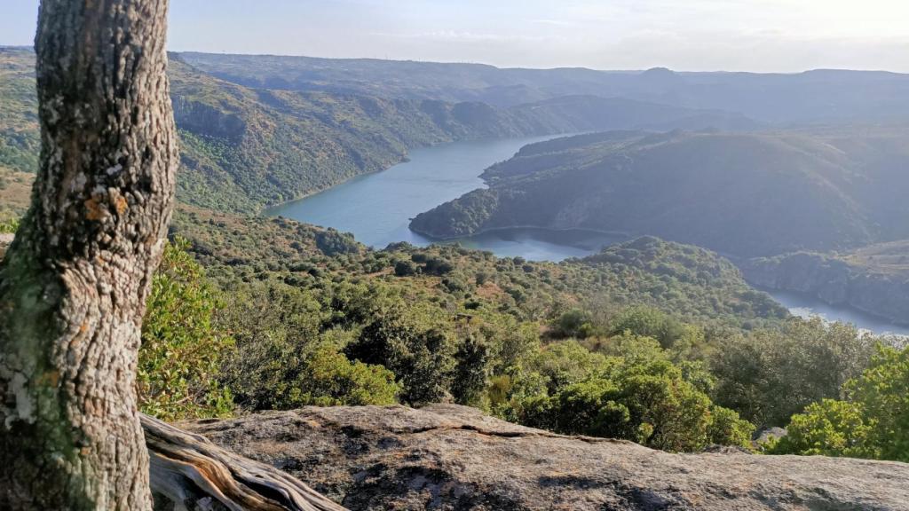 Fermoselle ofrece espectaculares vistas del Duero, como esta desde el Mirado de las Escaleras
