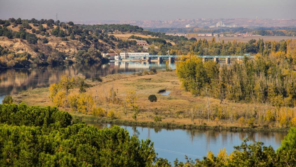 Imagen de la reserva natural con la presa de Castronuño al fondo