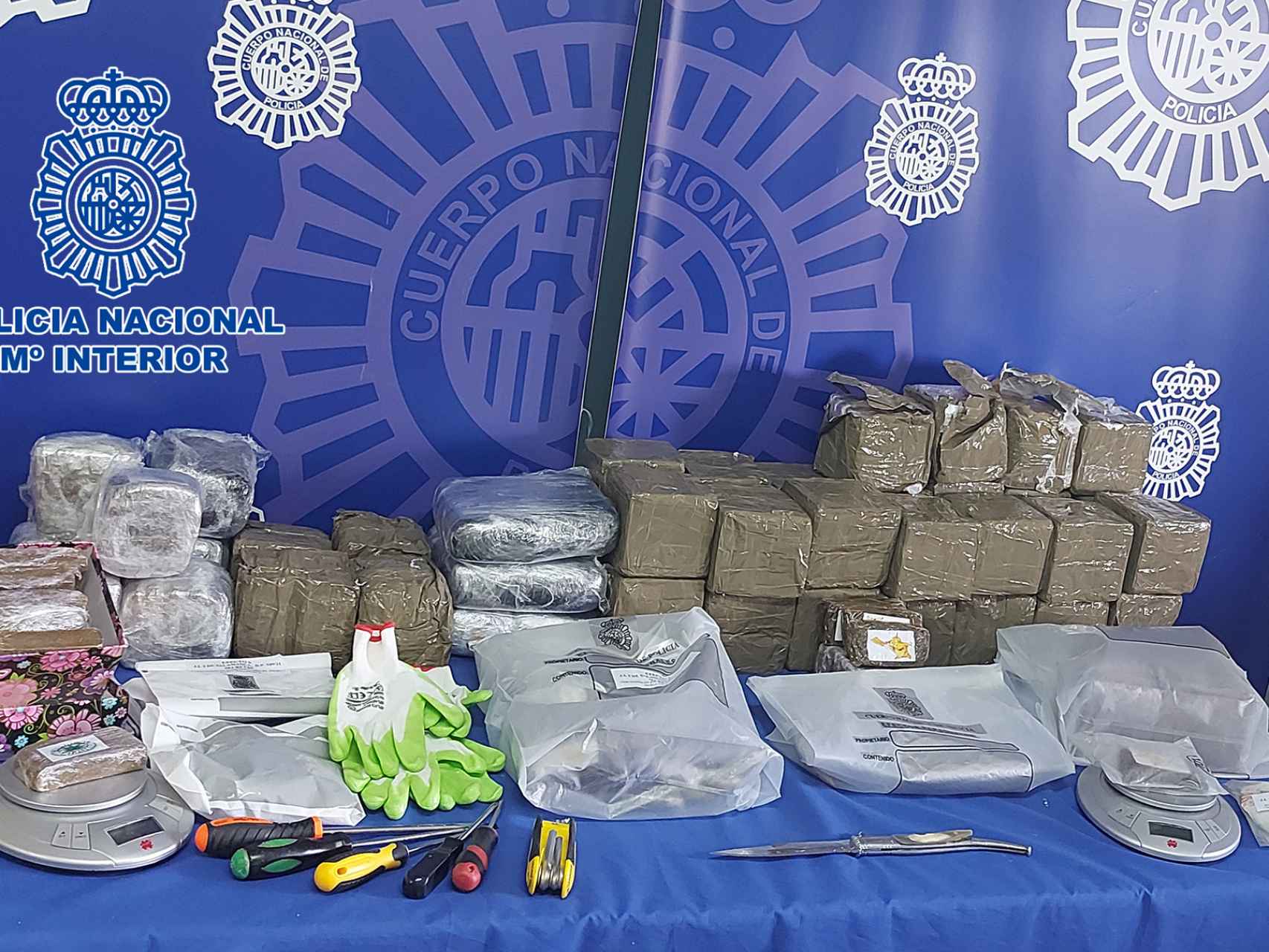 Droga intervenida por la Policía Nacional de Salamanca