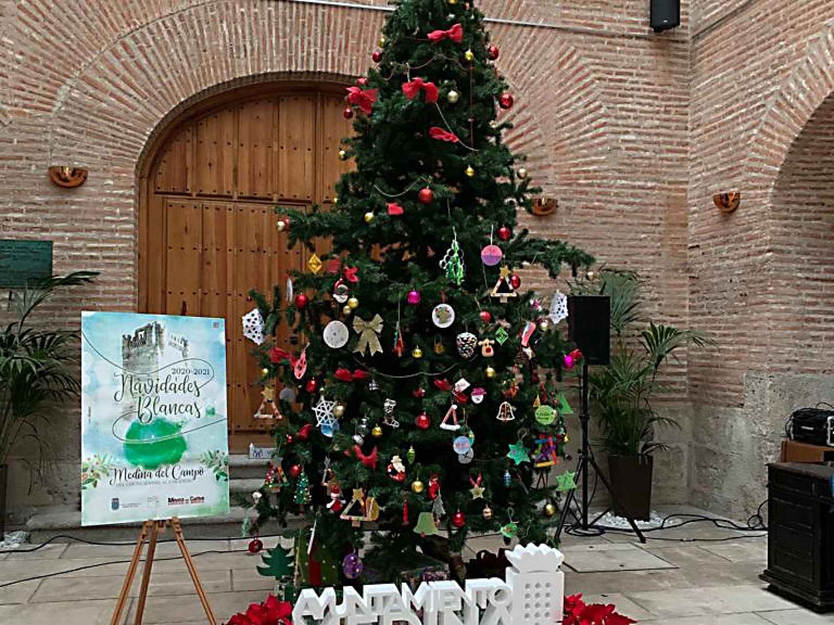 Imagen del árbol ubicado en Medina del Campo
