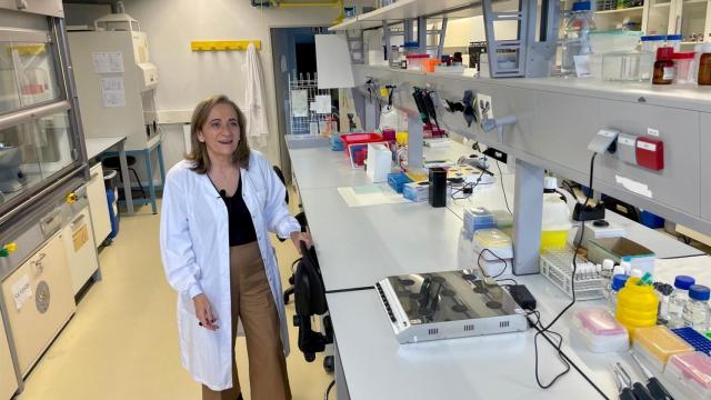 La catedrática de Farmacia de la USC María José Alonso, Premio Nacional Juan de la Cierva