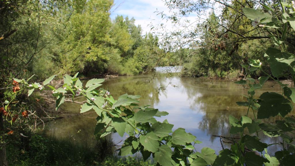 Lagunas de Belvis.