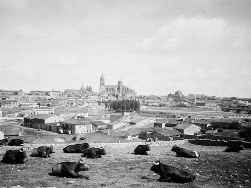 Barrio del Arrabal de Salamanca, desde el Teso de la Feria